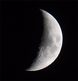 crop luna.jpg