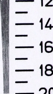 CropEnfatizzato2.jpg