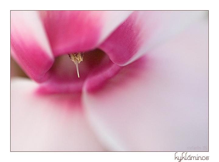 CRW_4527-framed-small.jpg