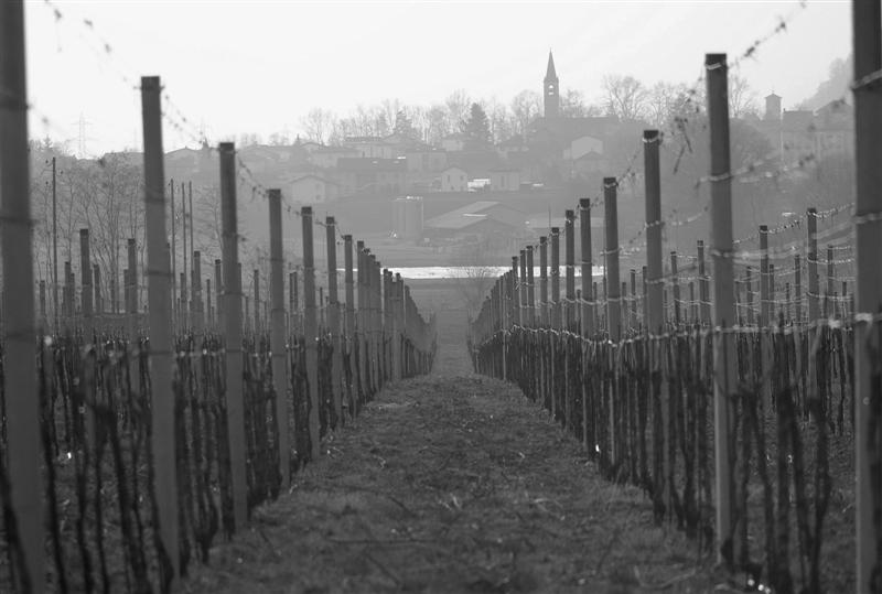 Cugnasco (Medium).jpg