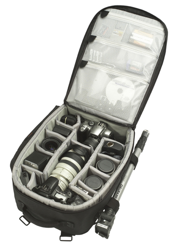 CULLMANN Faro.jpg
