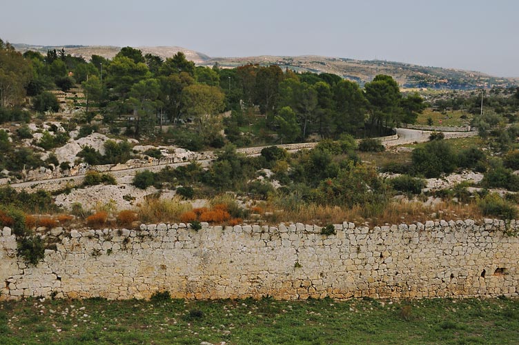 d100 nikon 35 1,8.jpg