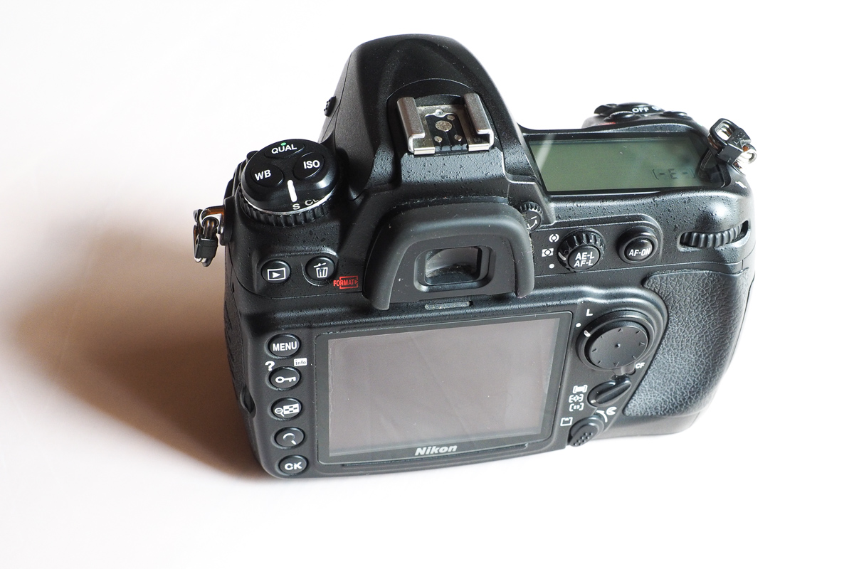D300-3.jpg