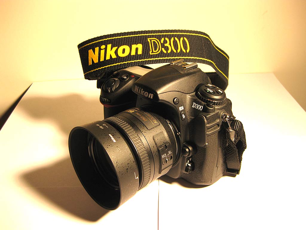 D300_2.jpg