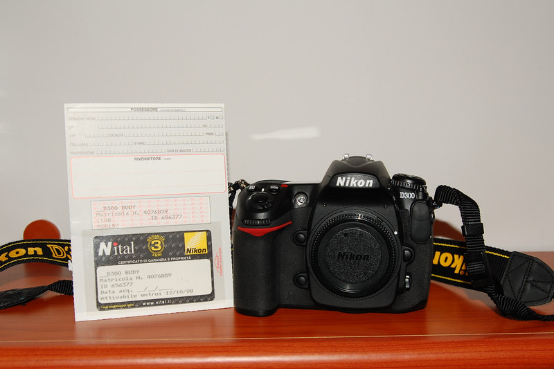 D300_2.jpg