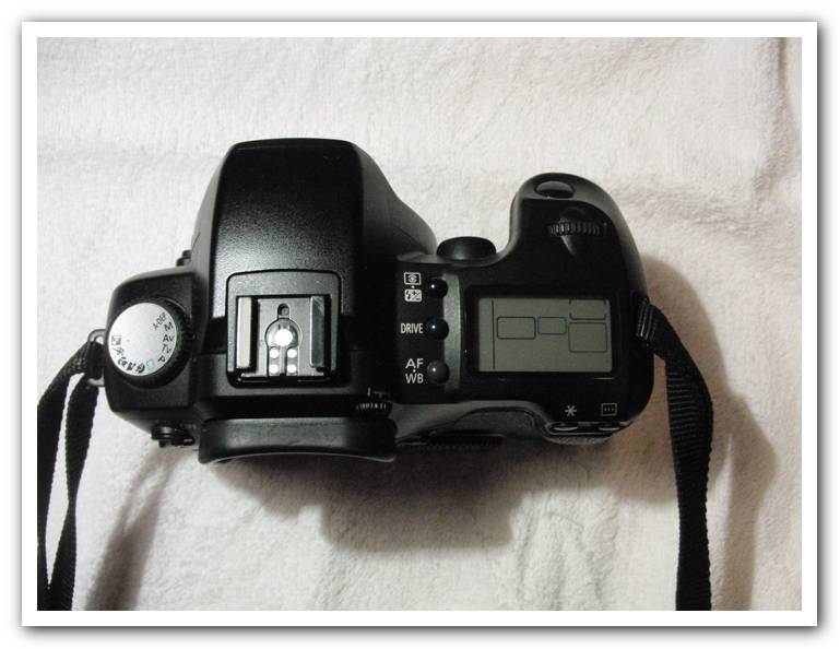 d60-1_138.jpg