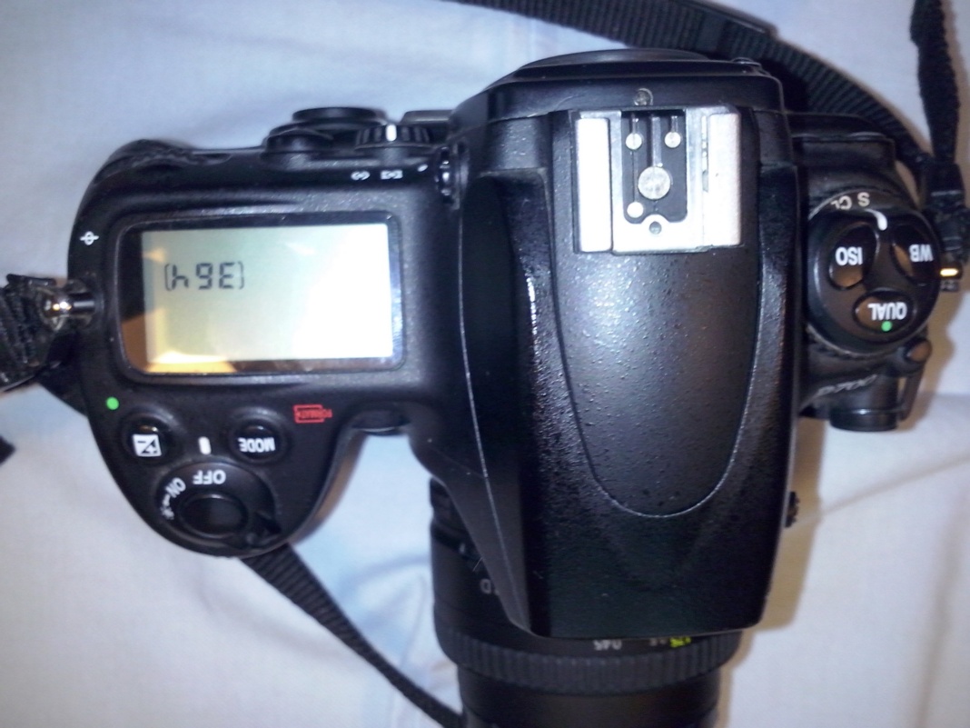 D700 IIIweb.jpg