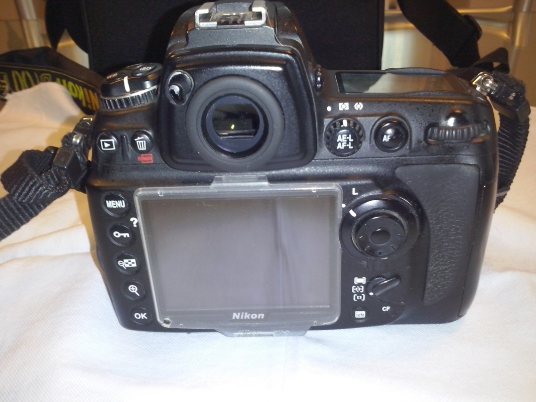 d700 IVweb.jpg