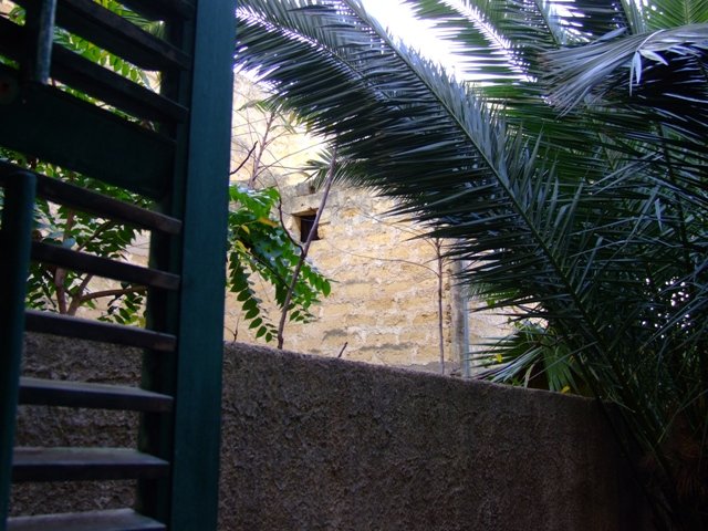 da 35 mm.jpg
