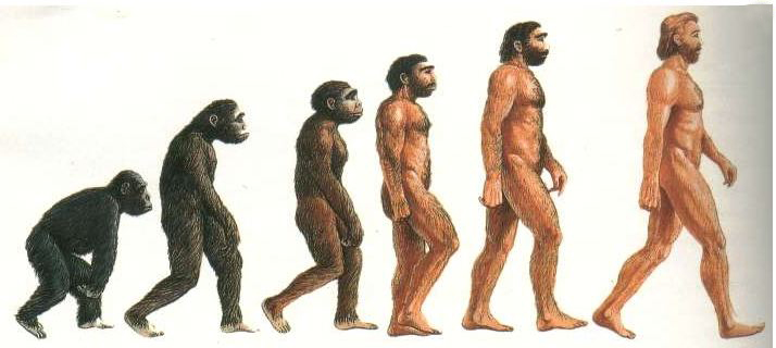 Darwin.JPG