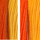 dettaglio.jpg