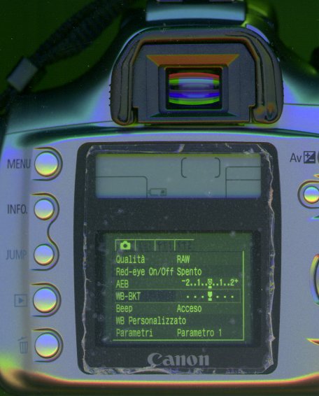 disp.jpg