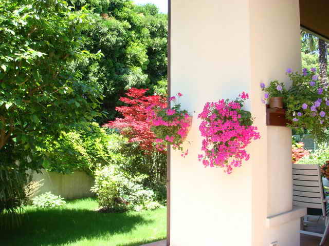 DSC00029.jpg