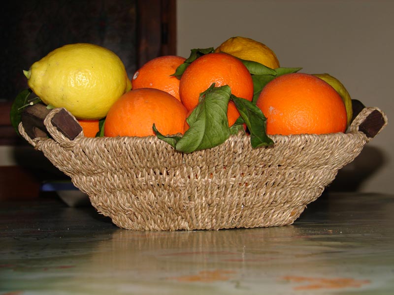 DSC00083_prova.jpg