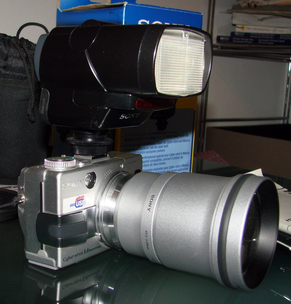 DSC00200_crad3.jpg