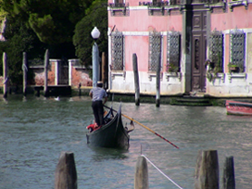 DSC00377.jpg