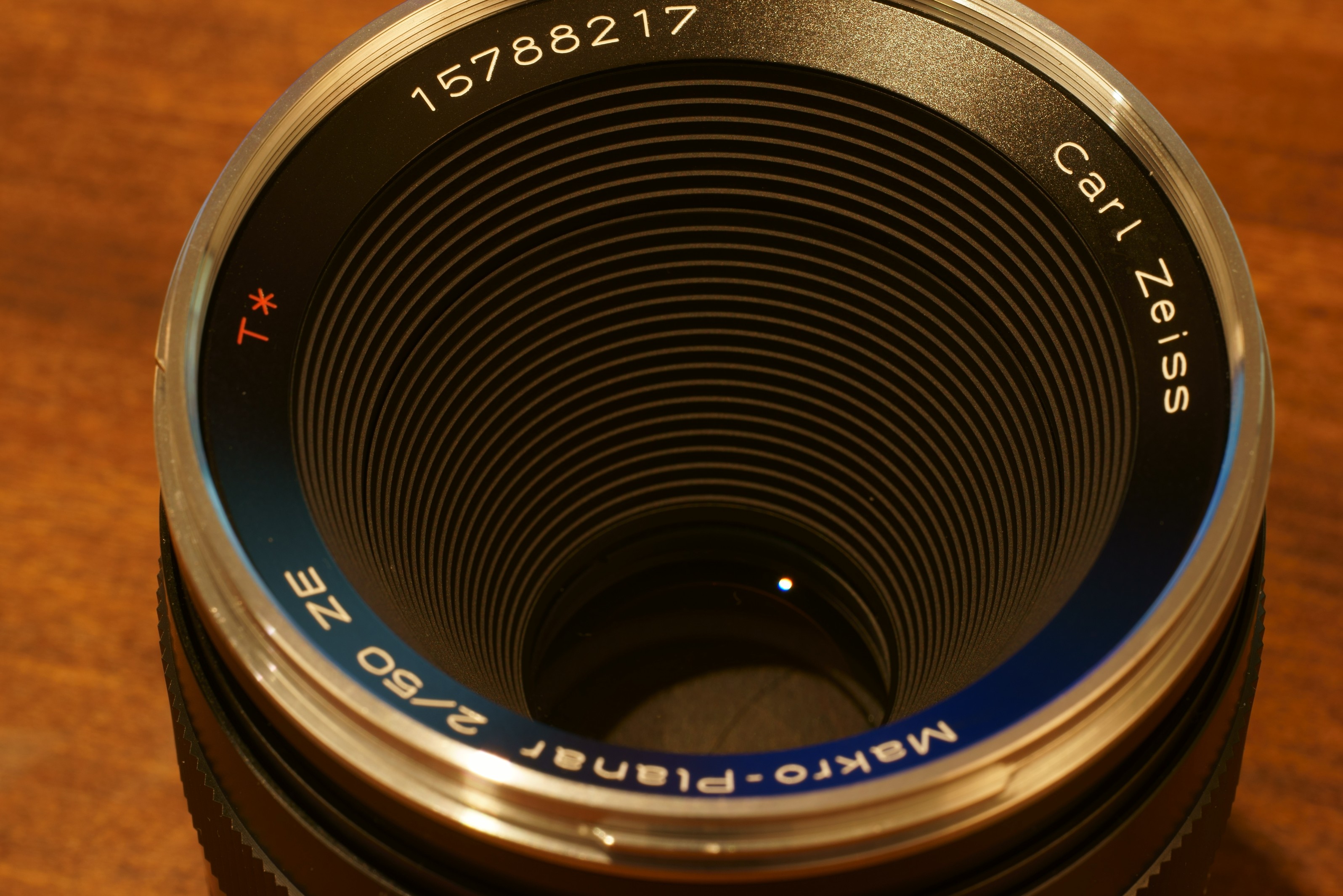 DSC04965 ridotta.jpg