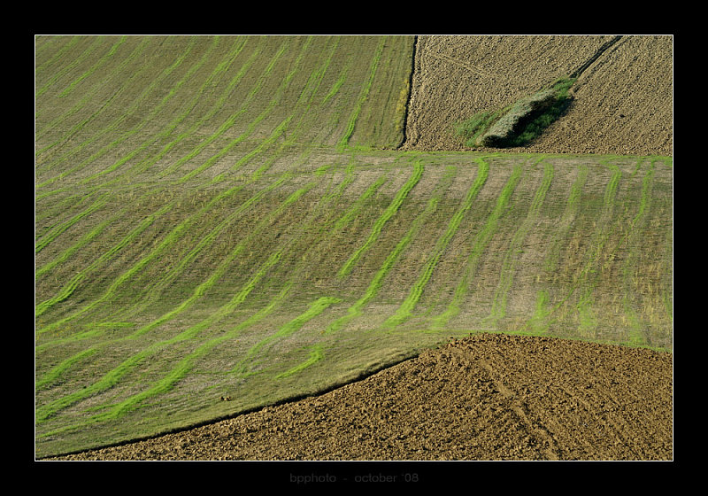 DSC05017webp.jpg