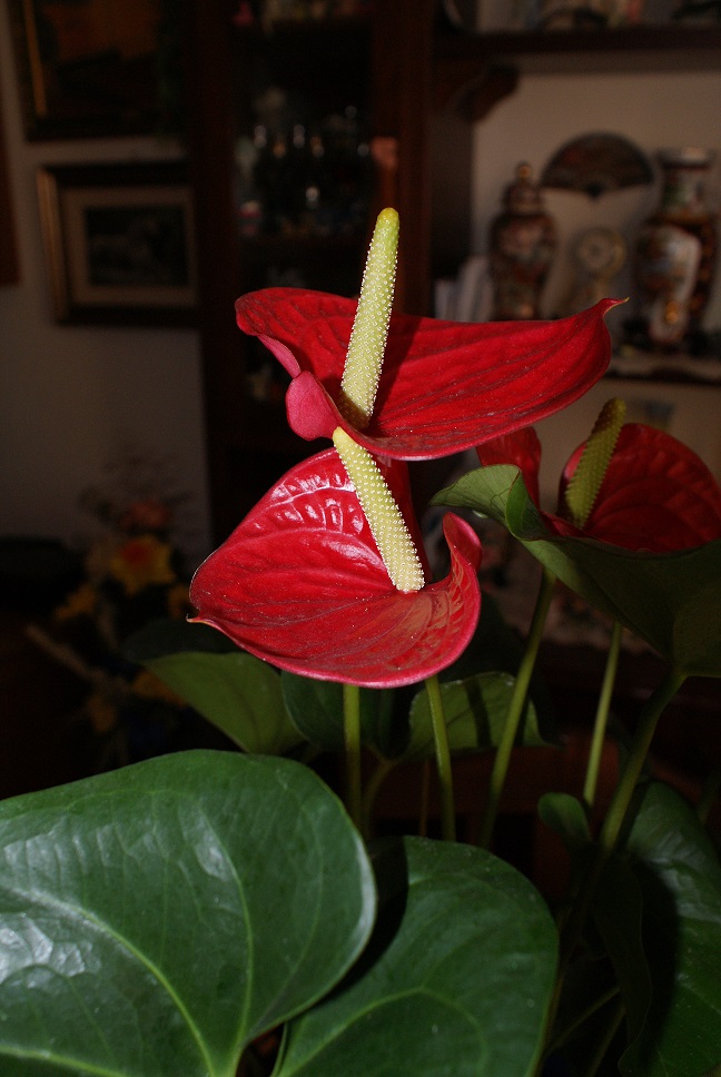 DSC06358.JPG