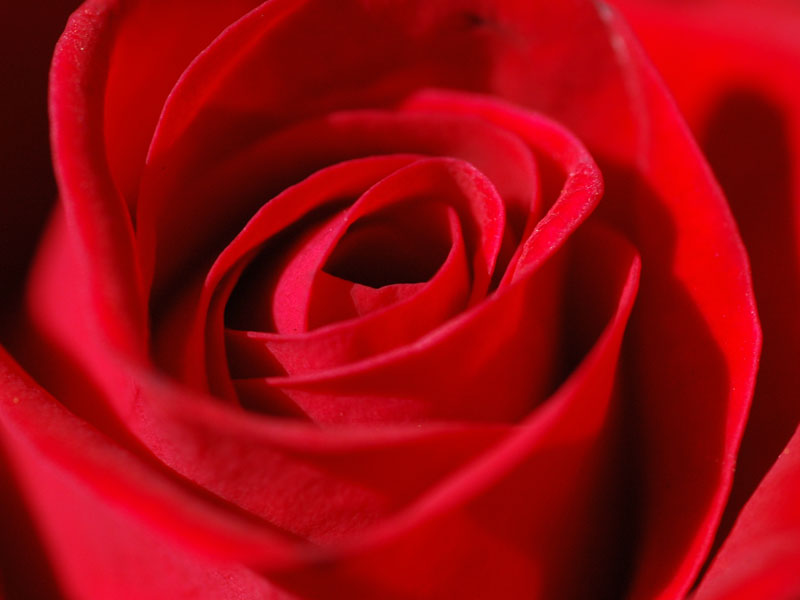 DSC_0003.jpg