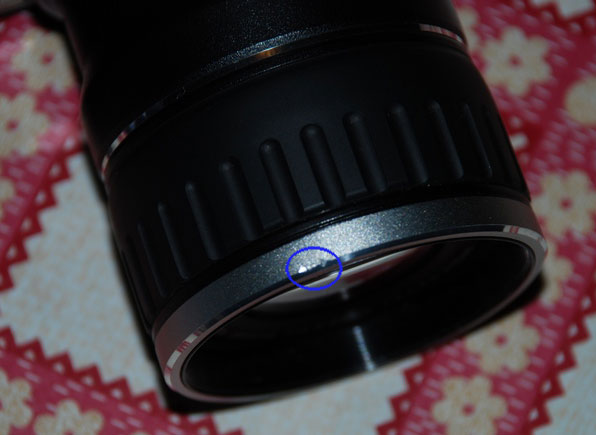 DSC_0012.JPG
