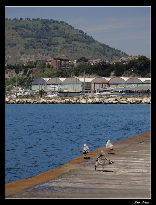 DSC_0017.jpg