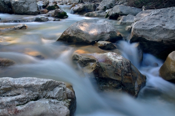 DSC_0076.JPG