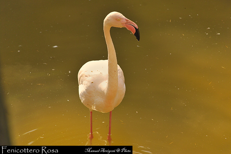 DSC_0131.JPG