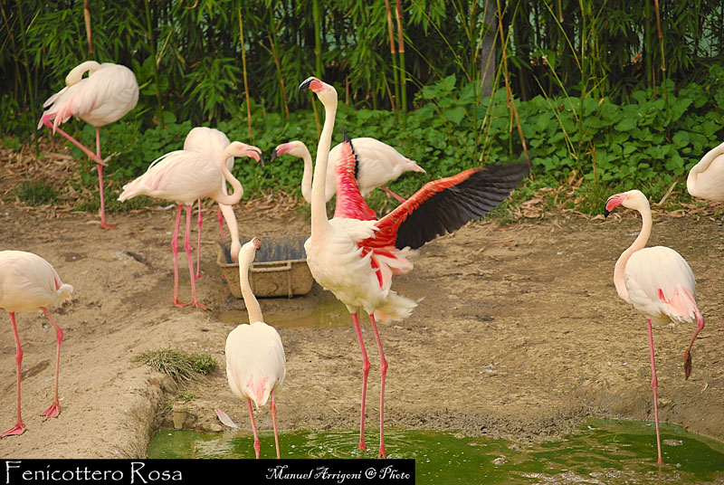 DSC_0134.JPG