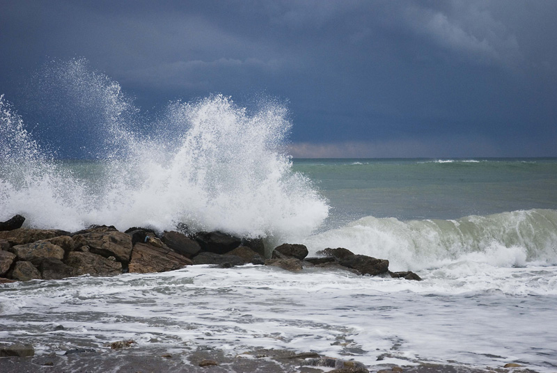 DSC_0135.jpg