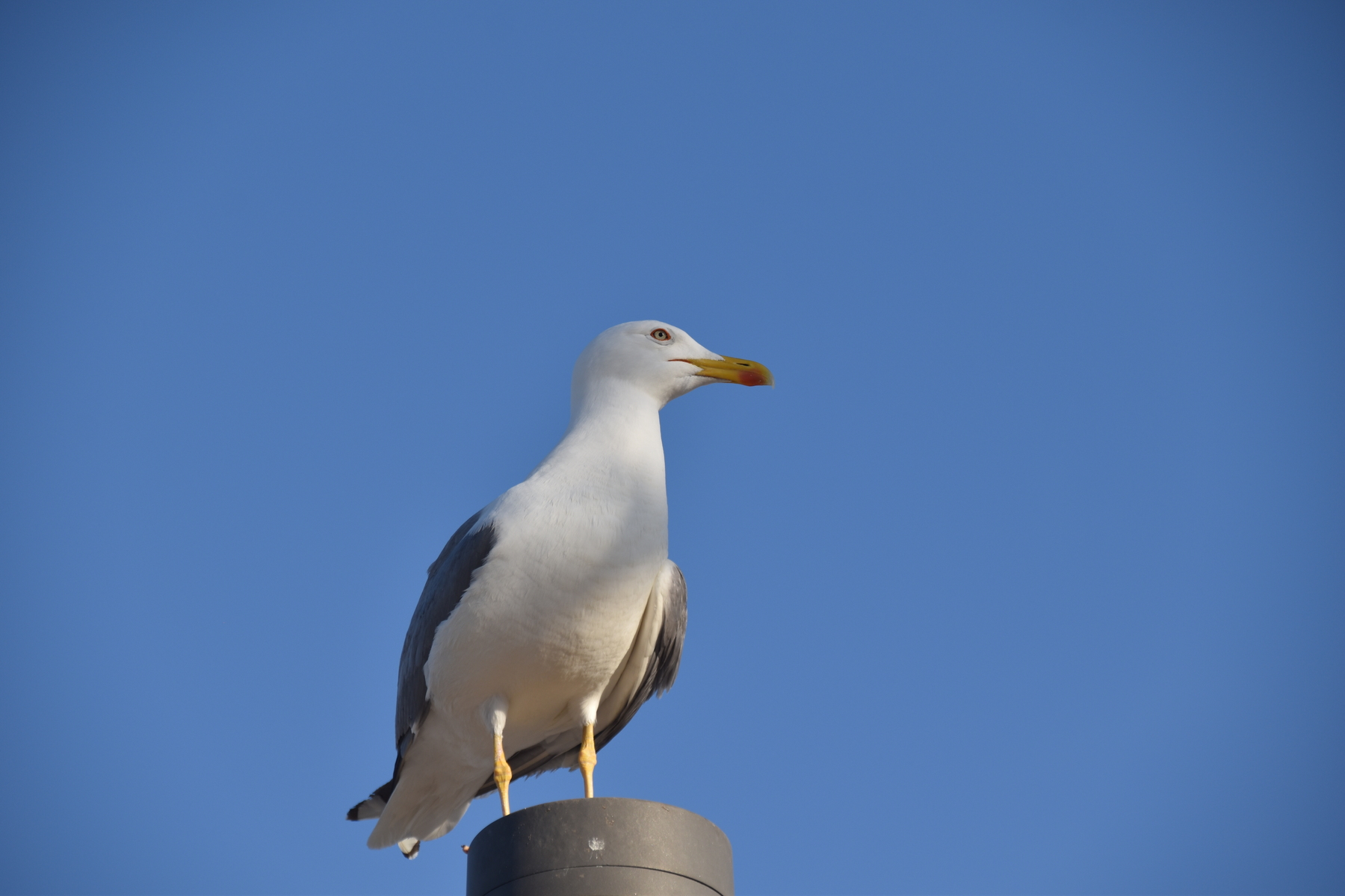 DSC_0258phsforum2.JPG
