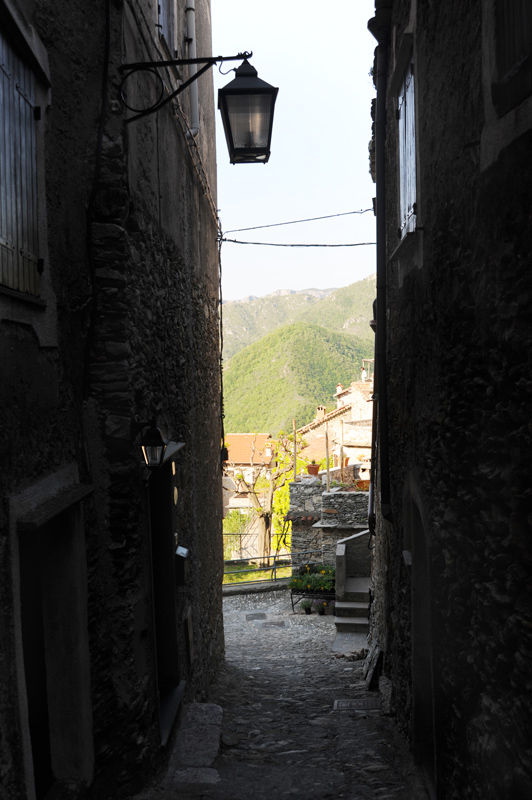 DSC_0359.jpg
