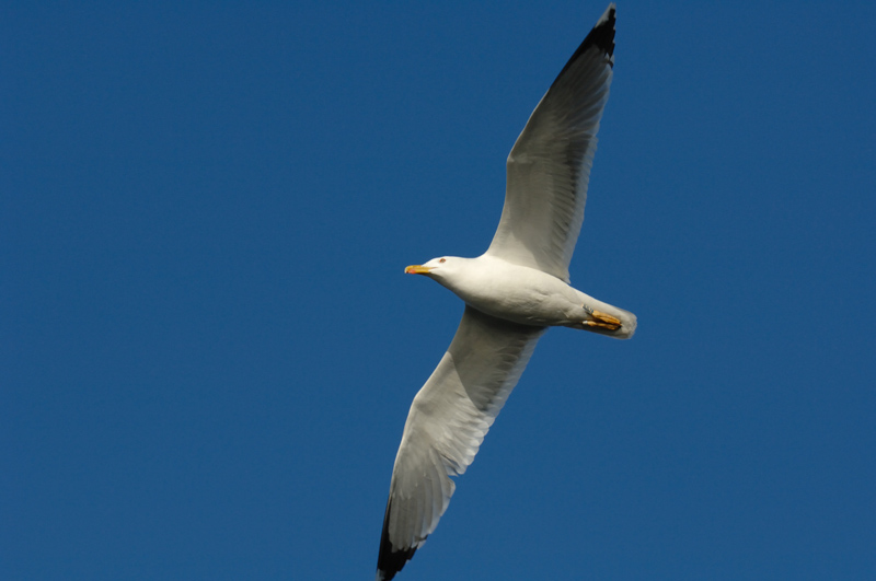 DSC_0876.jpg