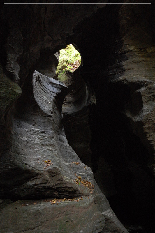 DSC_1396.JPG