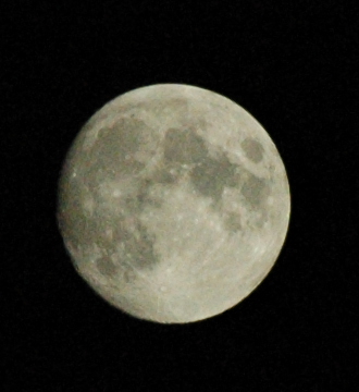 DSC_2558.jpg