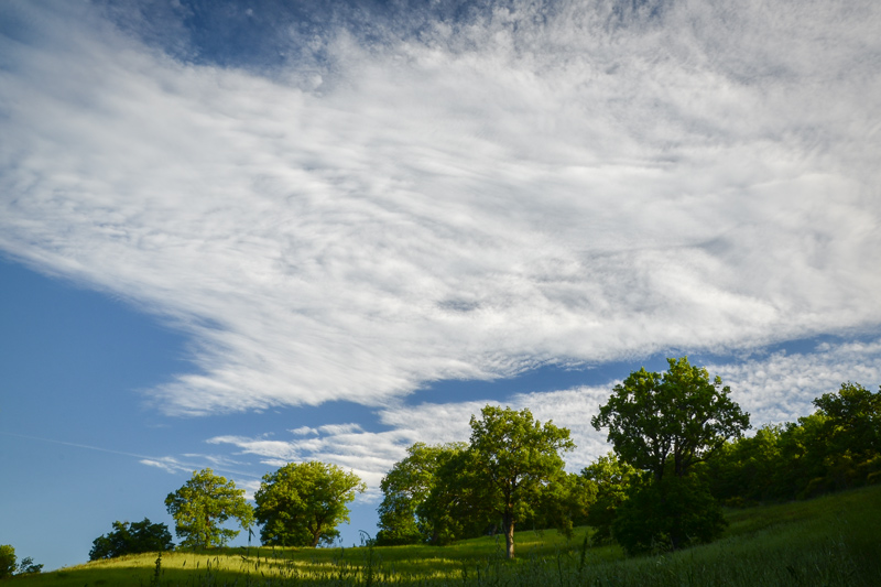 DSC_2784.jpg