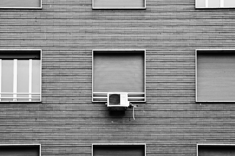 DSC_3399daraw_1BW5_710.JPG