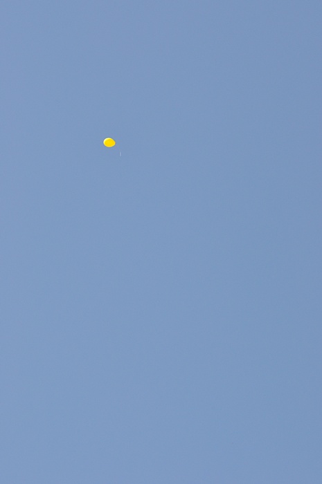 DSC_4301.JPG