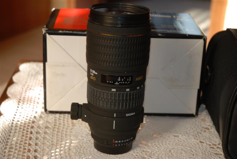 DSC_4727 (Medium).JPG