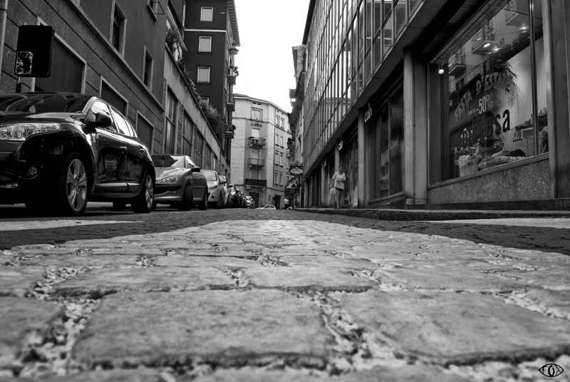 DSC_4770.jpg