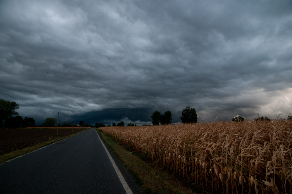 DSC_5174-2.jpg
