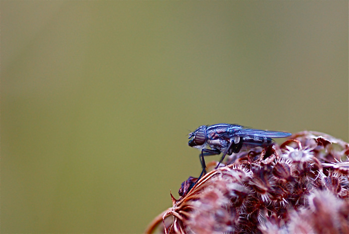 DSC_5361.jpg