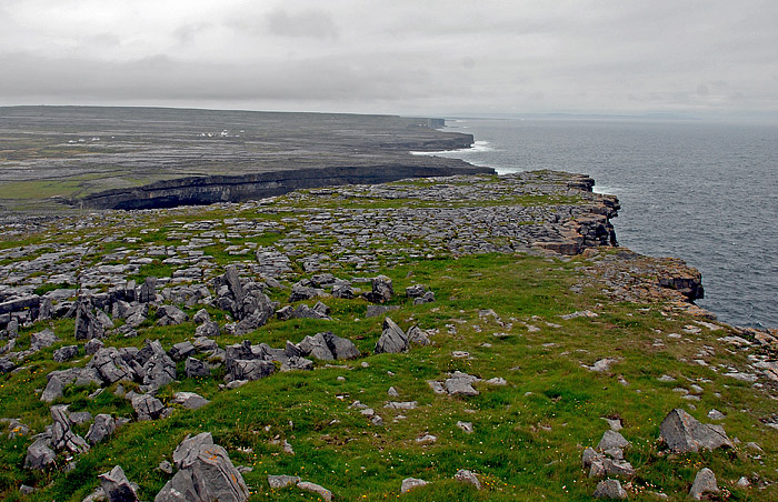 DSC_5501.jpg