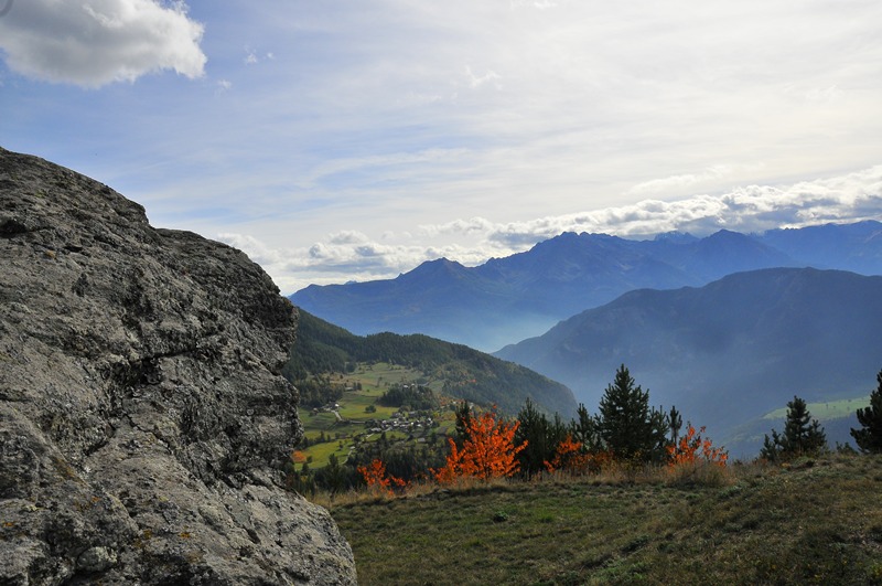DSC_5889.JPG