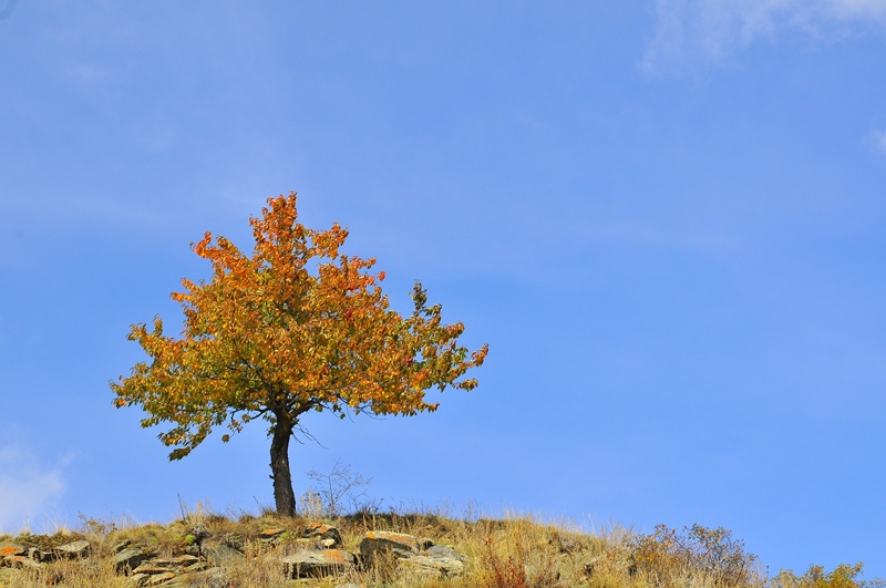 DSC_5893.JPG