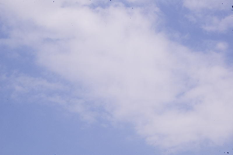DSC_5980.jpg