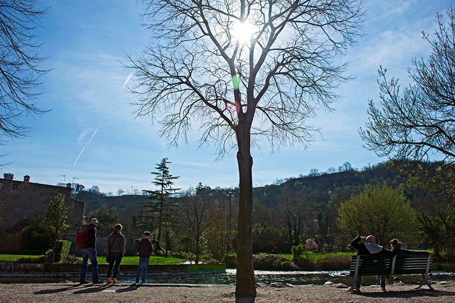 DSC_6025_1.jpg