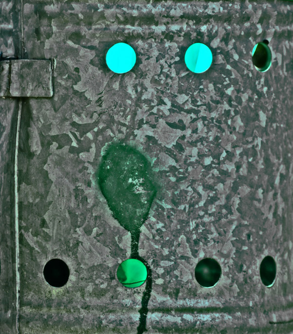 DSC_6284.jpg