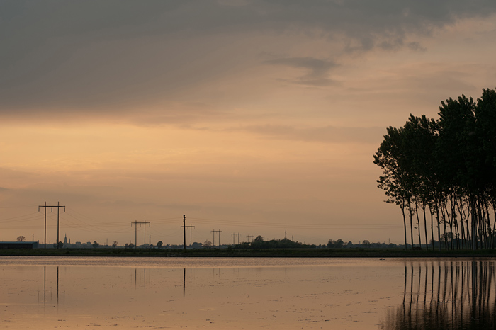 DSC_6652.jpg
