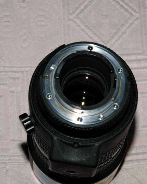 DSC_6856_resize.jpg